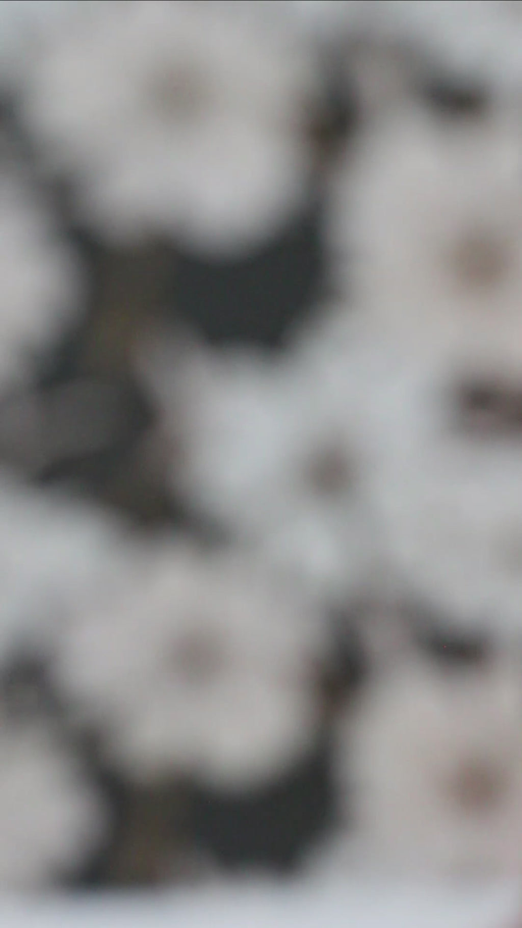 CHLOÉ | Boucles d'oreilles en argile polymère