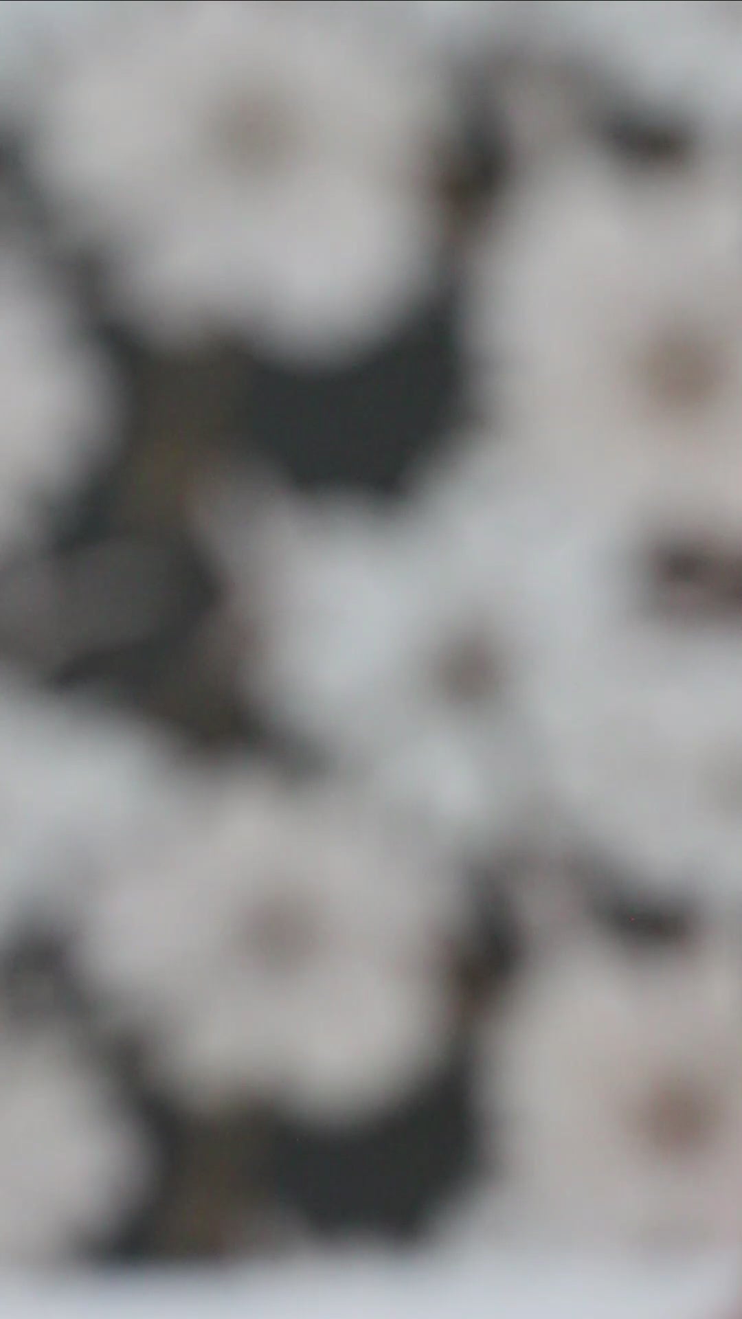 CHLOÉ | Boucles d'oreilles en argile polymère